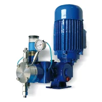 Серия ﻿﻿WS Exacta