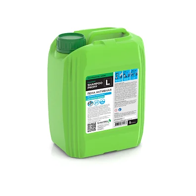 SHAMPOO PROFF L, 5 л